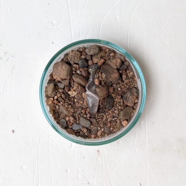 anne kaden_andenken_Trauerbegleiter_50