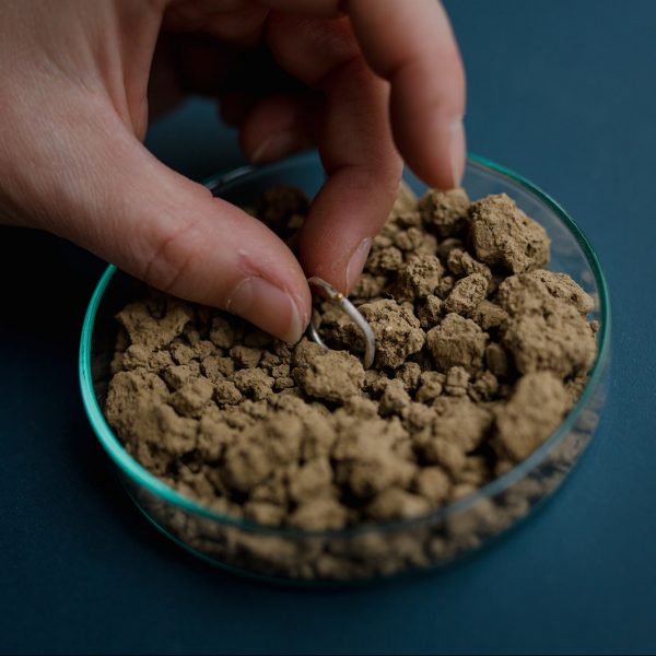 Anne Kaden Ring Erde