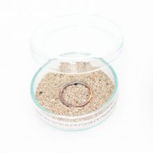 anne kaden_andenken_Trauerbegleiter_47